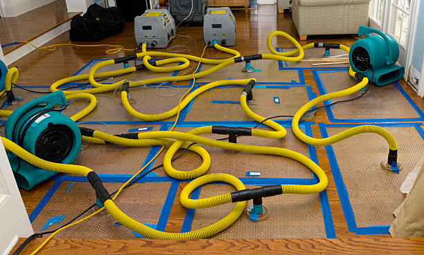 Professional Crawl Space Water Removal technician working in Feura Bush, NY